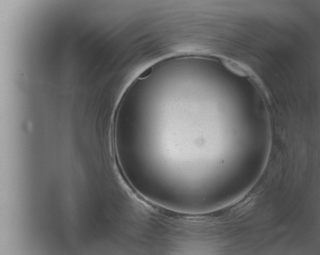 X0000061121295200511241700