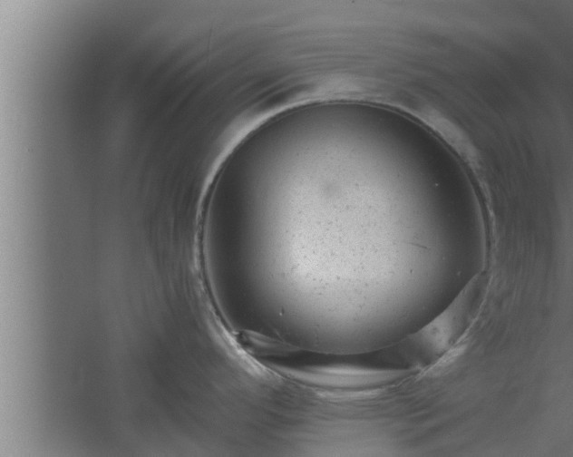 X0000061121296200511241700