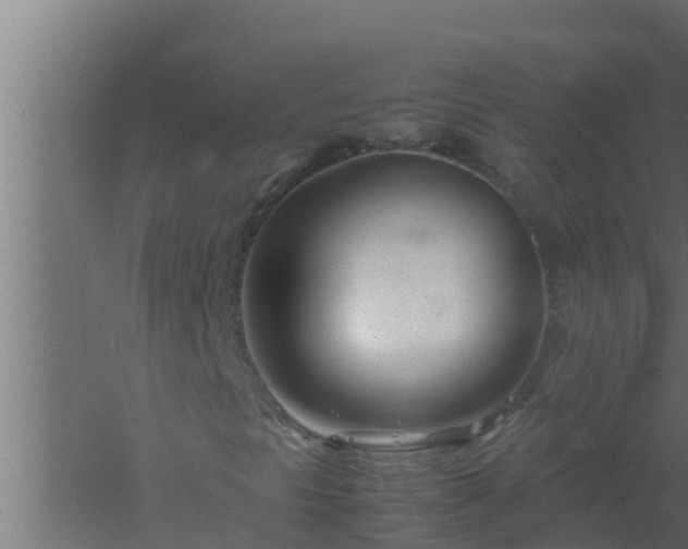 X0000061121297200511241659