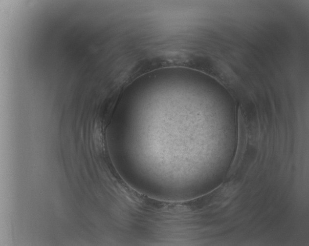 X0000061121298200511241659