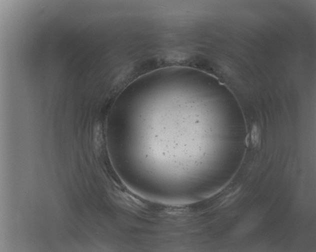 X0000061121299200511241659