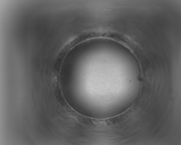 X0000061121302200511241659