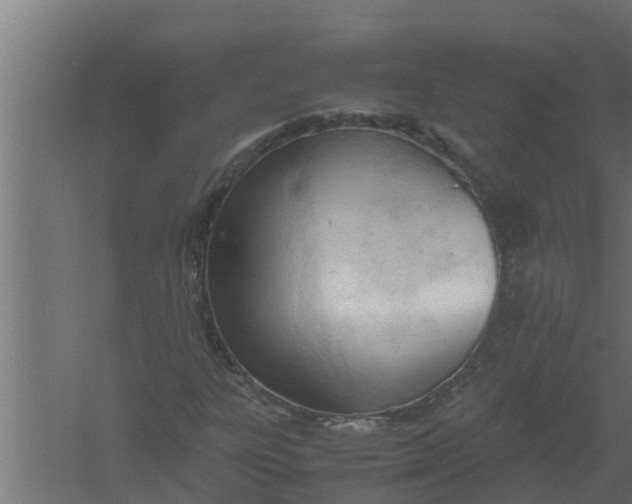 X0000061121303200511241659