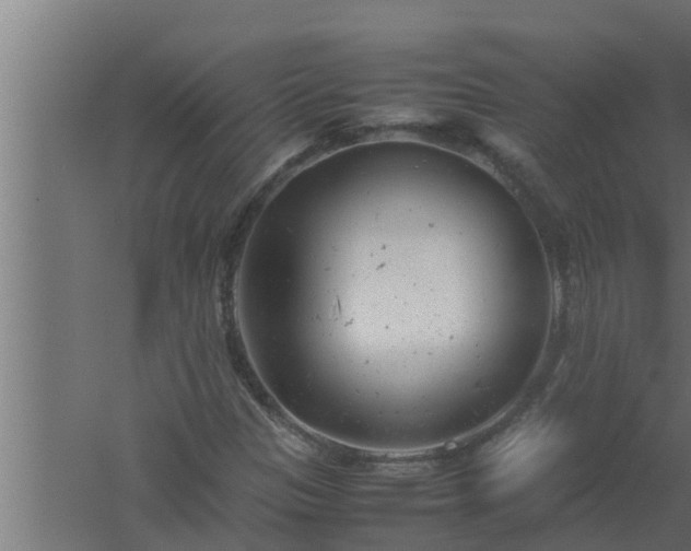 X0000061121305200511241659