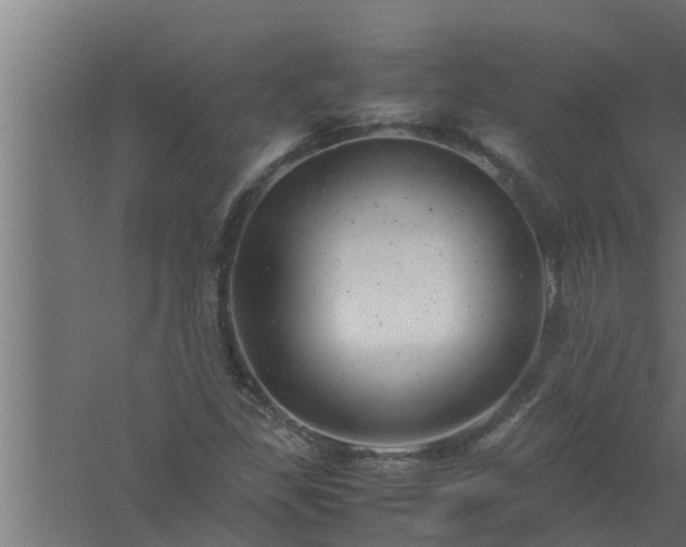 X0000061121309200511241659