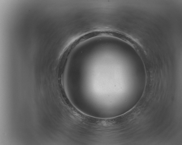 X0000061121311200511241659