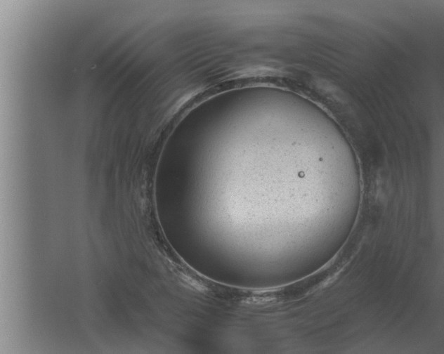 X0000061121313200511241659