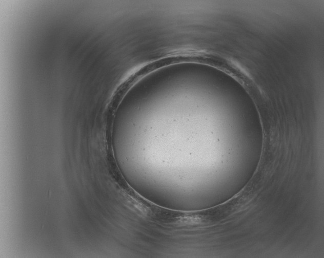 X0000061121315200511241659