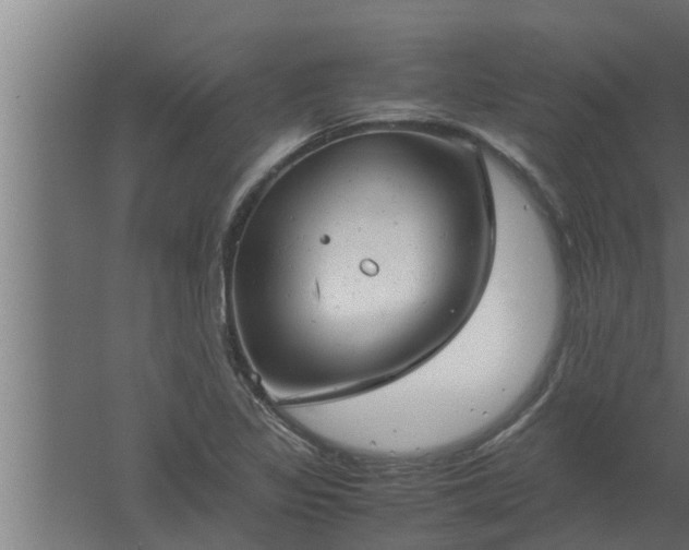 X0000061121317200511241659