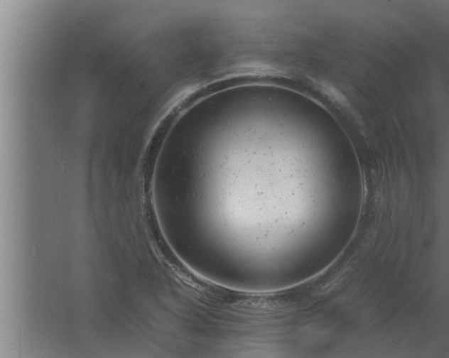 X0000061121318200511241659