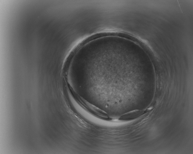 X0000061121319200511241659