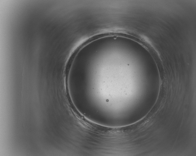 X0000061121320200511241659