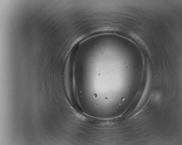 X0000061121321200511241659