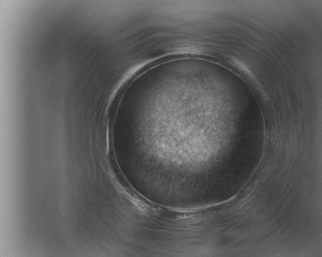 X0000061121323200511241659