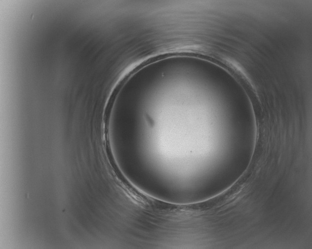 X0000061121324200511241659