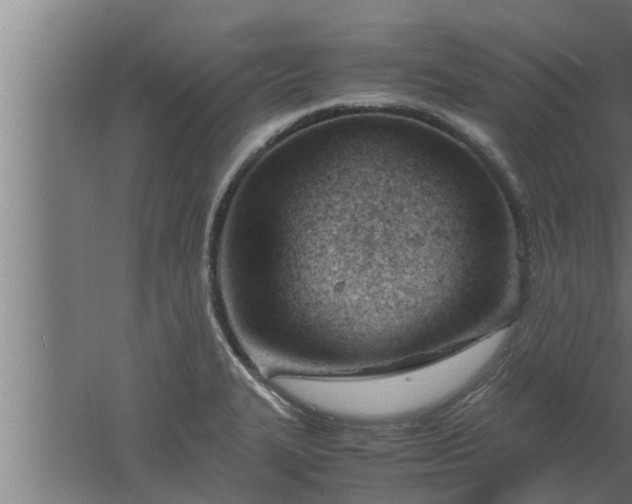 X0000061121327200511241659