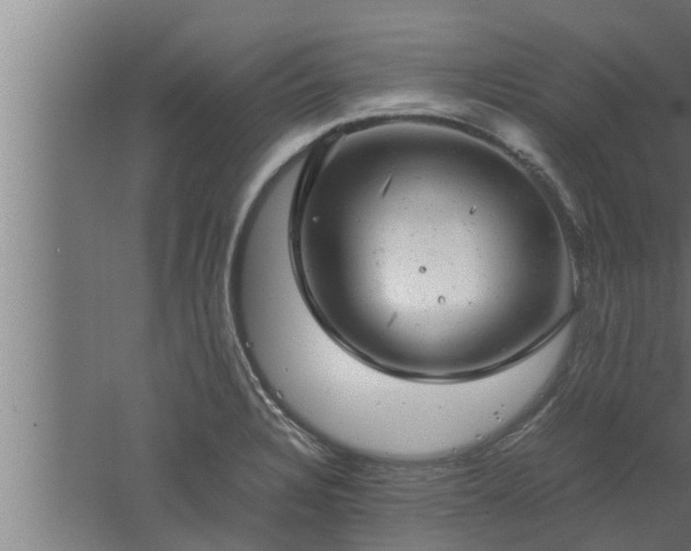 X0000061121328200511241659