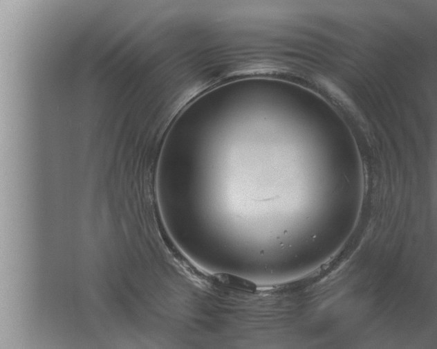 X0000061121329200511241659