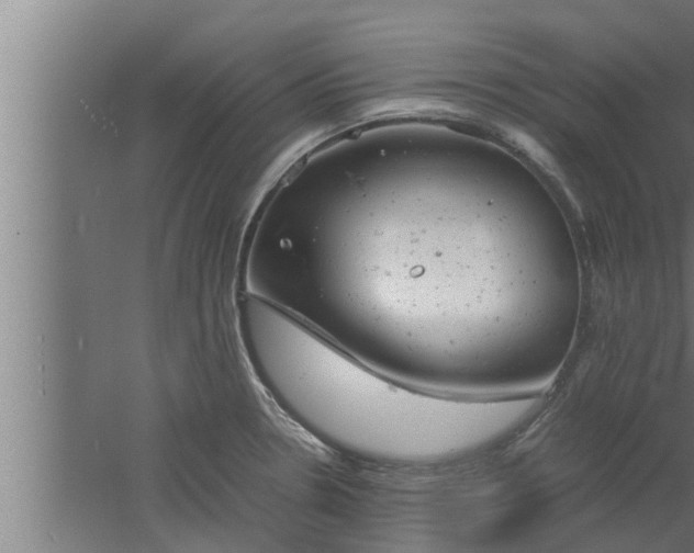 X0000061121330200511241659