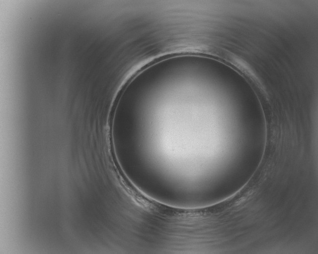 X0000061121332200511241659