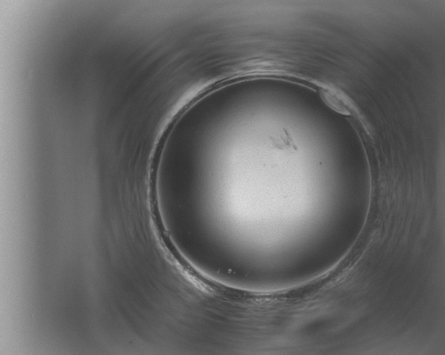 X0000061121333200511241659