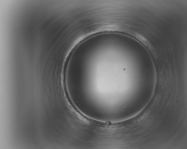 X0000061121334200511241659