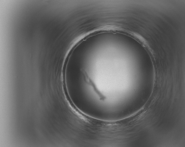 X0000061121335200511241659