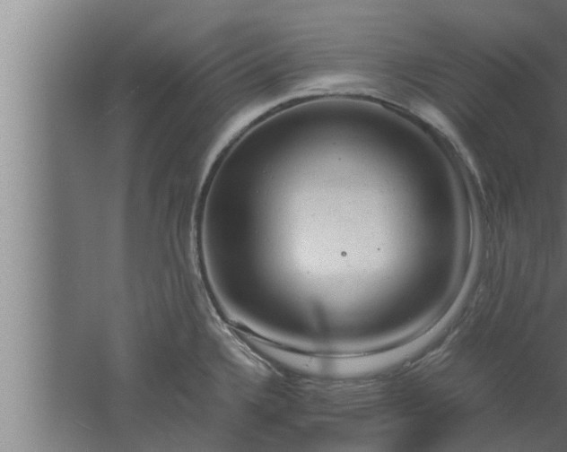 X0000061121336200511241659