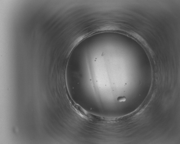 X0000061121337200511241659