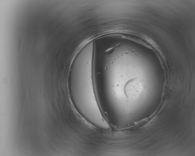 X0000061121338200511241659