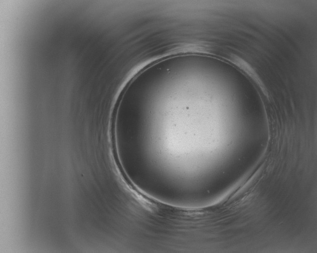 X0000061121339200511241659