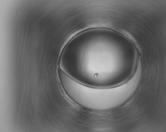 X0000061121340200511241700