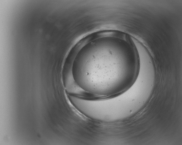 X0000061121342200511241700