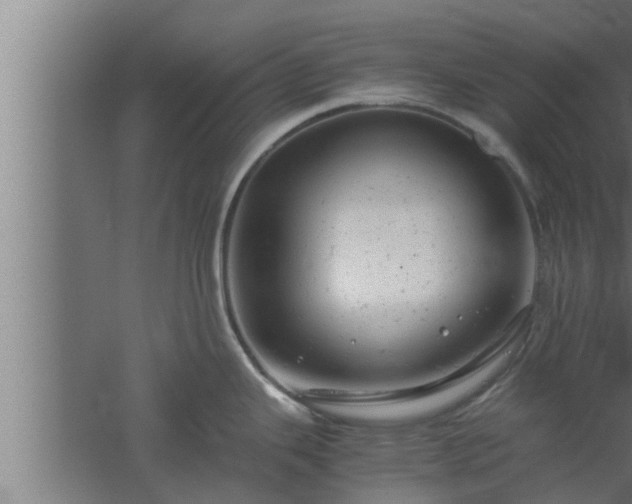 X0000061121343200511241700