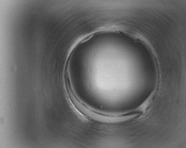 X0000061121344200511241700