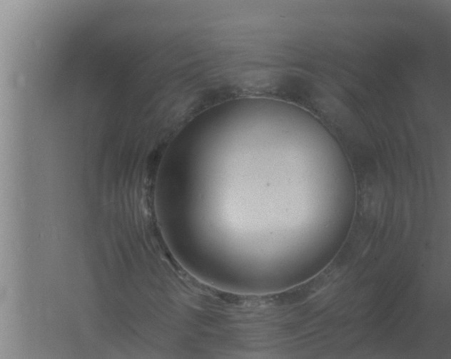 X0000061121346200511241659