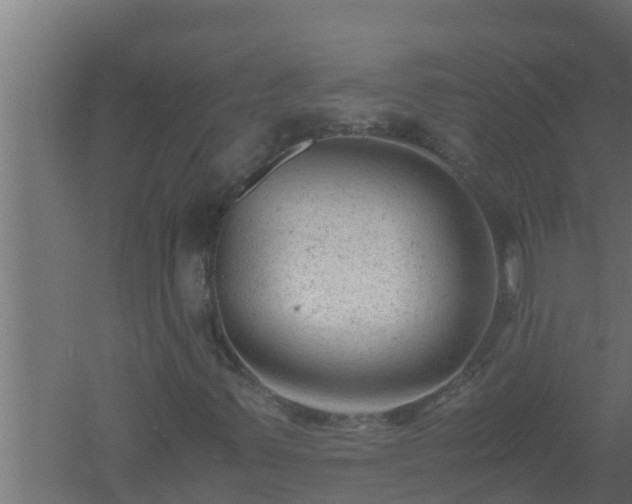 X0000061121347200511241659