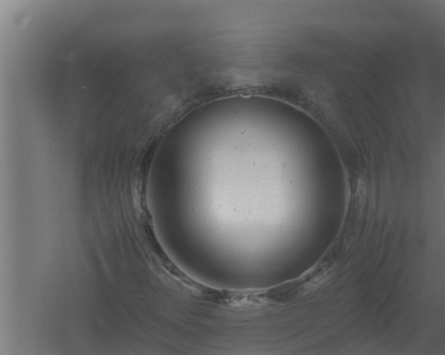 X0000061121348200511241659