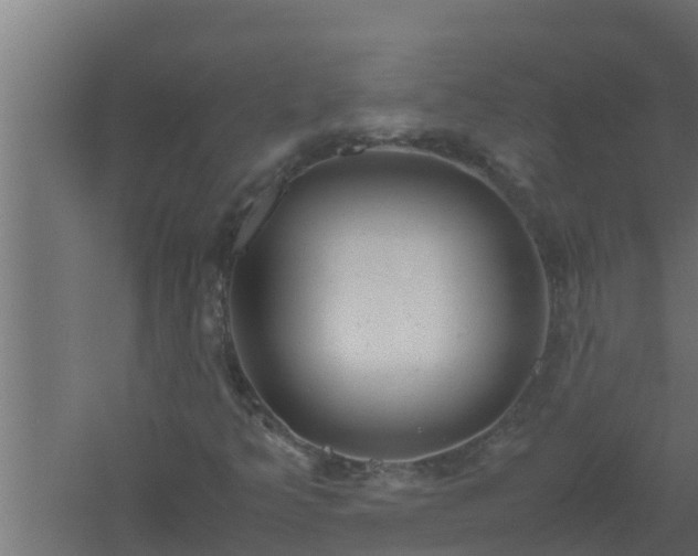 X0000061121349200511241659