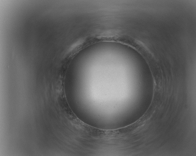 X0000061121350200511241659