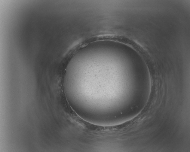 X0000061121351200511241659