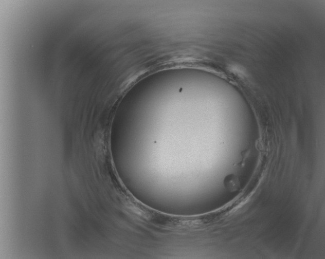 X0000061121353200511241659