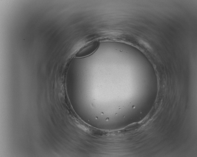 X0000061121354200511241659