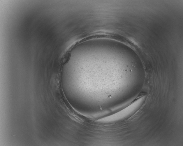 X0000061121355200511241659