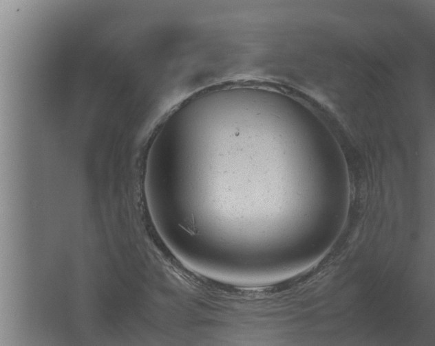 X0000061121359200511241659