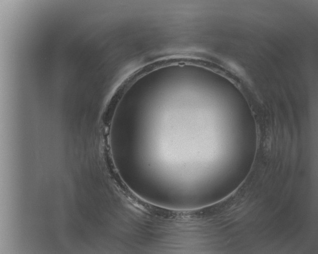 X0000061121360200511241658