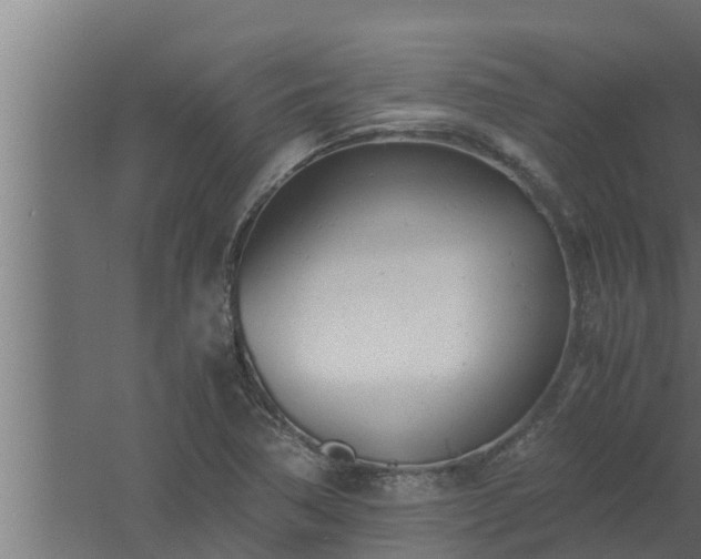 X0000061121362200511241658