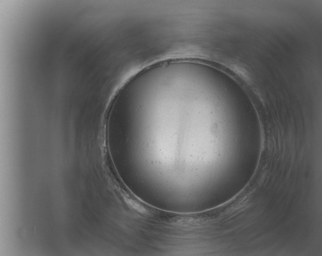 X0000061121366200511241658