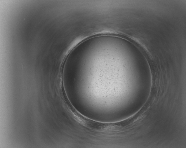 X0000061121367200511241658