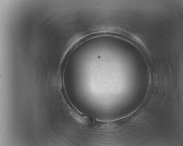 X0000061121368200511241658